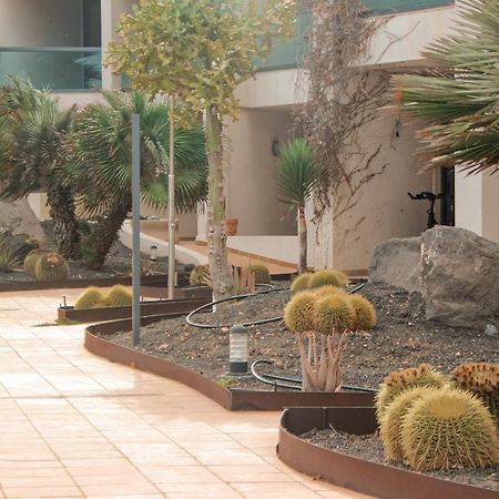 Casa Aloe Vera Cotillo エクステリア 写真