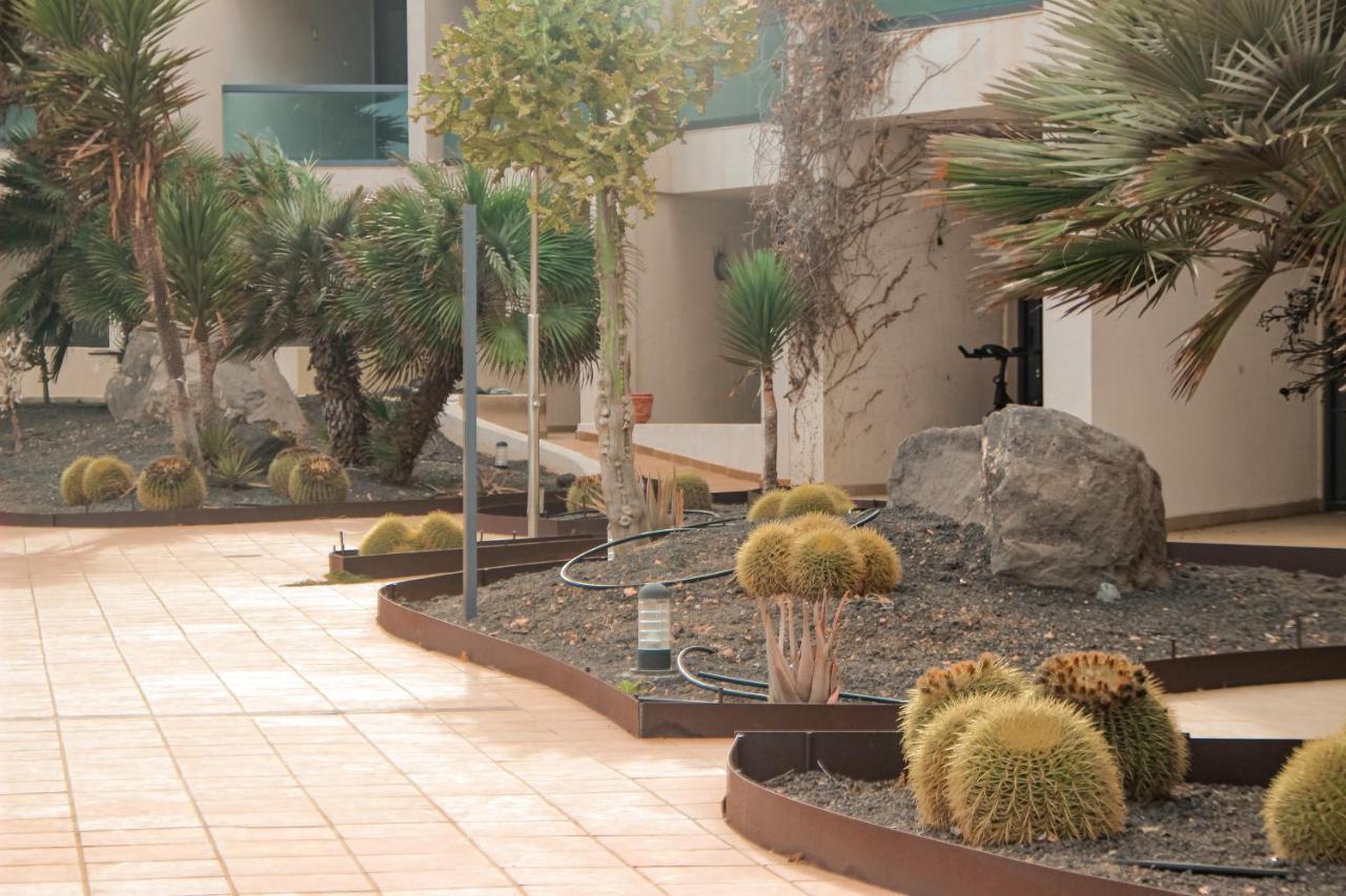 Casa Aloe Vera Cotillo エクステリア 写真